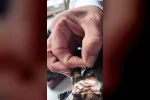 Son kullanma tarihi geçen ürünlerin üzerlerini siyah bantla kapatan işletme sahibi söylediğiyle hayrete düşürdü