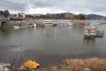 Son yağışlar Beyşehir Gölü'ne can suyu oldu
