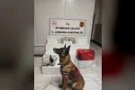 Su arıtma cihazına zulalanmış esrar ele geçirildi