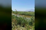 Su kanalına düşen ineği itfaiye kurtrdı 