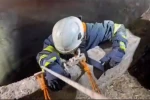 Su kuyusuna düşen çakalı itfaiye ekipleri kurtardı