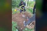 Su kuyusuna düşen kirpi kurtarıldı