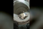 Su kuyusunda mahsur kalan keçiyi itfaiye kurtardı