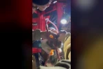 Su pompası deliğine düşen yavru kediyi itfaiye kurtardı