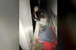 Sulama kanalına düşen anne köpek ve yavrularını itfaiye ekipleri kurtardı