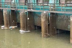 Sulama kanalında kaybolan çocuğun cansız bedeni bulundu
