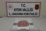Şüpheli şahsın üzerinde bin 53 uyuşturucu hap ele geçirildi