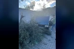 Süratli otomobil önce ağaca sonra duvara çarptı