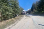 Sürücüsünün direksiyon hâkimiyetini kaybettiği otomobil ormanlık alana savruldu
