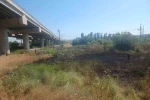 Susurluk’ta çıkan ot yangını söndürüldü