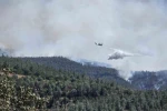 Susurluk’ta orman yangını büyüyor