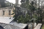 Tarihi Sultanahmet Camisi yangın tehlikesi yaşadı