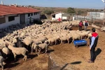 Tarım İl Müdürü Aksoy üreticinin sorunlarını yerinde dinledi
