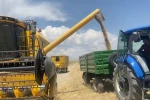 Tarımın kalbi Adilcevaz’da buğday hasadına başlandı
