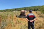 Tarlada su tankersiz hasat yapan biçördöver sahibine 3 bin 705 lira ceza