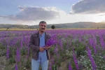Tarlalar mora boyandı, çiçekler resim tablosunu andırdı