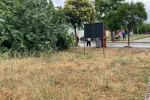 Tartıştığı amcasını palayla öldürdü