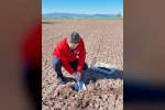 Tavas Belediyesinin üreticiye teknolojik desteği genişleyerek devam ediyor