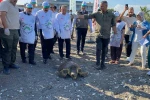 Tedavisi tamamlanan 3 deniz kaplumbağası yeniden denizle buluştu