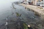 Tekirdağ deniz çekildi ’Kral yolu’ ortaya çıktı