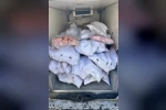 Tekirdağ’da 1,5 ton iç yağ ve 140 kokoreç imha edildi