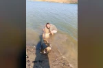 Tekirdağ’da 157 kiloluk yayın balığı yakalandı