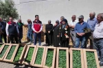 Tekirdağ’da 407 üreticiye 256 bin yazlık sebze fidesi dağıtıldı