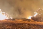 Tekirdağ’da 500 saman balyası kül oldu