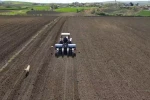 Tekirdağ’da ayçiçeği ekimi