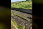 Tekirdağ’da gölde toplu balık ölümleri yaşandı 