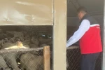 Tekirdağ’da hayvancılığa yakın takip