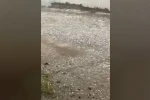 Tekirdağ’da sağanak ve dolu etkili oldu : Yollar göle döndü, ulaşım aksadı