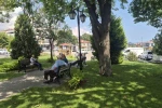Tekirdağ’da sıcaktan bunalanlar gölgelik alanlara sığındı