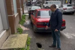 Tekirdağ’ın Çorlu ilçesinde sokakta fareler cirit atıyor