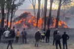 Tekman’da korkutan ot yangını