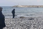 Telef olan caretta caretta halk plajına vurdu
