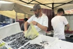 Tezgahlarda hamsi bolluğu 