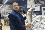 Tezgahlarda palamut yok, hamsi çok 