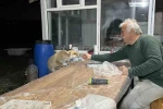 Tilki ailesi her akşam yemek için bağ evine geliyor