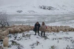 Tipi vurdu heyelan yolu kapattı, 2 çoban ve yaklaşık 650 küçükbaş hayvan yaylada mahsur kaldı
