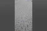 Tomarza’da dolu etkili oldu