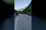 Trabzon-Bayburt karayolu heyelan nedeniyle ulaşıma kapandı