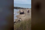 Trabzon’da baba ile oğlu boğulmaktan son anda kurtarıldı