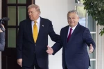 Trump: "(Putin’le görüşmek için) Her zaman bir ihtimal var"