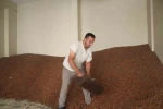 Tüccarlar fındık fiyatı konusunda farklı görüşte