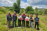 Tunceli’de kadın üreticilerin çilek hasadı yüz güldürdü