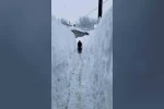 Tunceli’de kar kalınlığı insan boyunu geçti