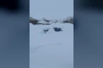 Tunceli’de kar yüküne dayanamayan iş yerinin çatısı çöktü