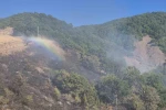 Tunceli’de kırsal alanda yangın: Havadan ve karadan müdahale sürüyor
