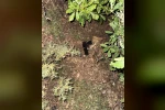 Tunceli’de silahlı saldırıya uğrayan şahıs ağır yaralandı